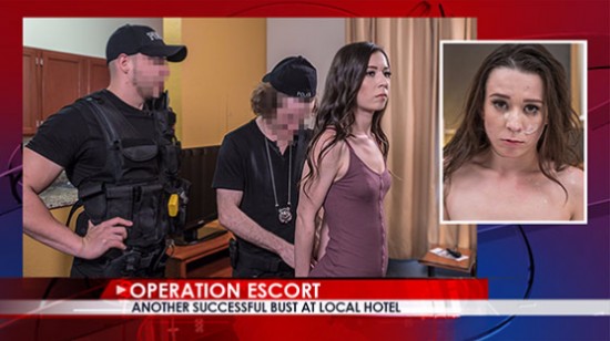 Eskort Operasyonu Bölüm 3  Türkçe Altyazılı Porno
